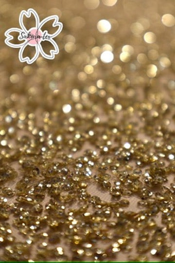 Lentejuela Degradada