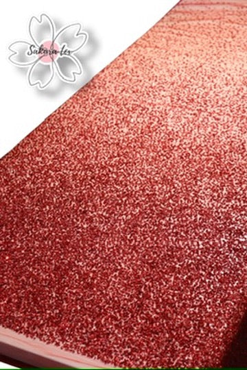 Lentejuela Degradada